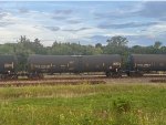 TCBX 306360